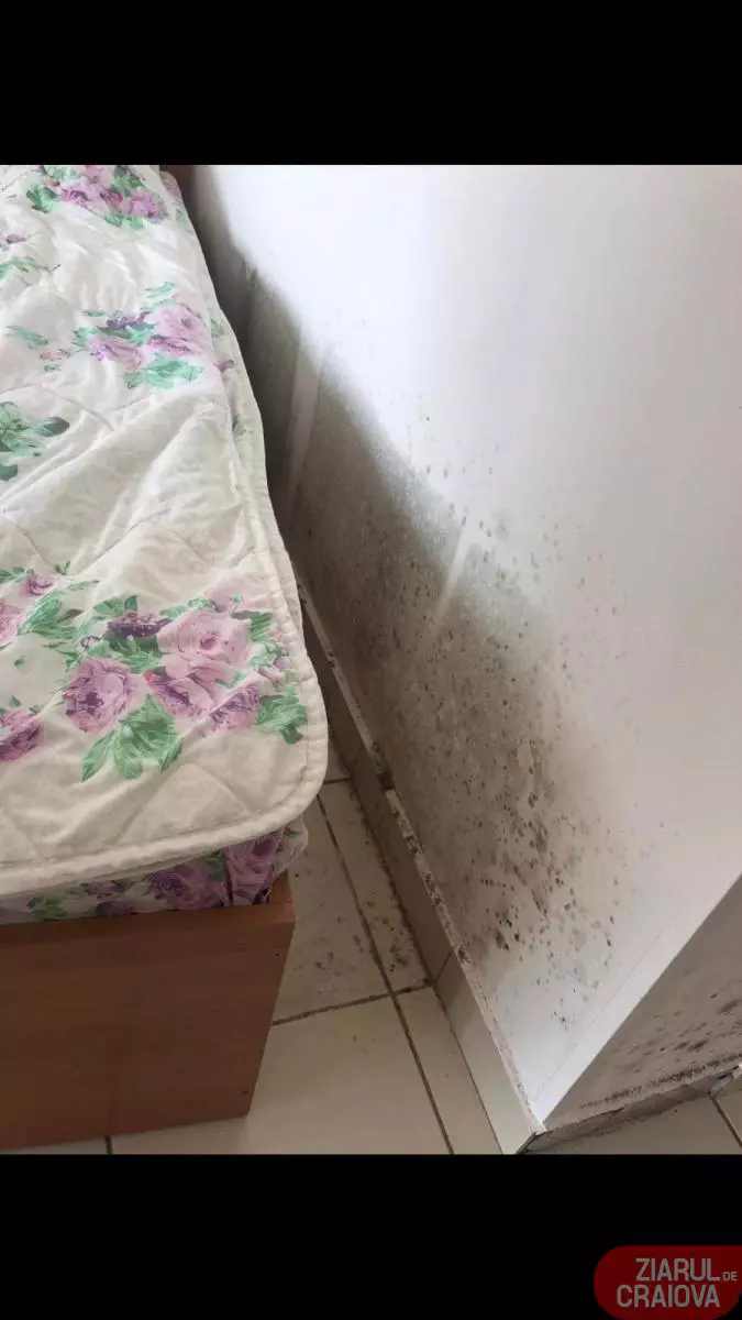 received_250498766104924_0