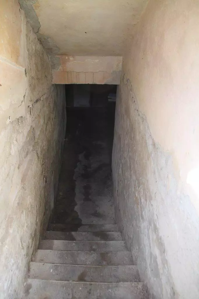 Mysterious Mummified Cat Found Buried In Gran’s Cellar Wall