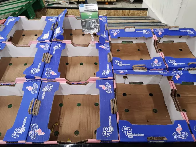 89155757_228141011919943_6003889385274081280_n