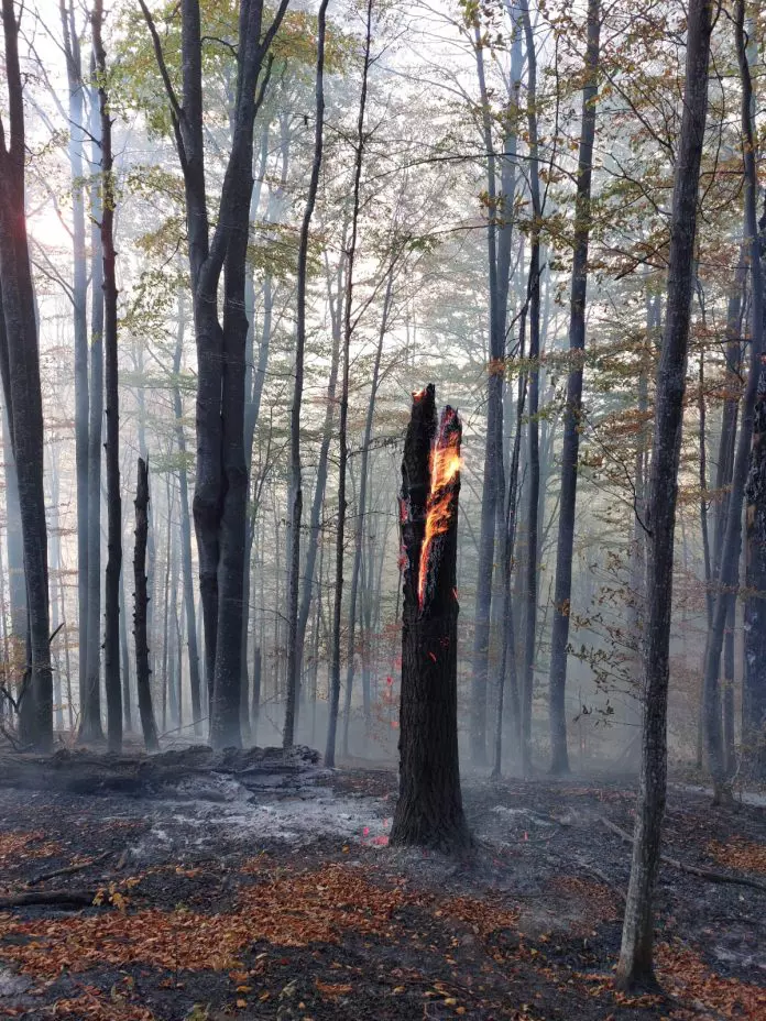 incendiu-baraj-paltinu3-696x928-1