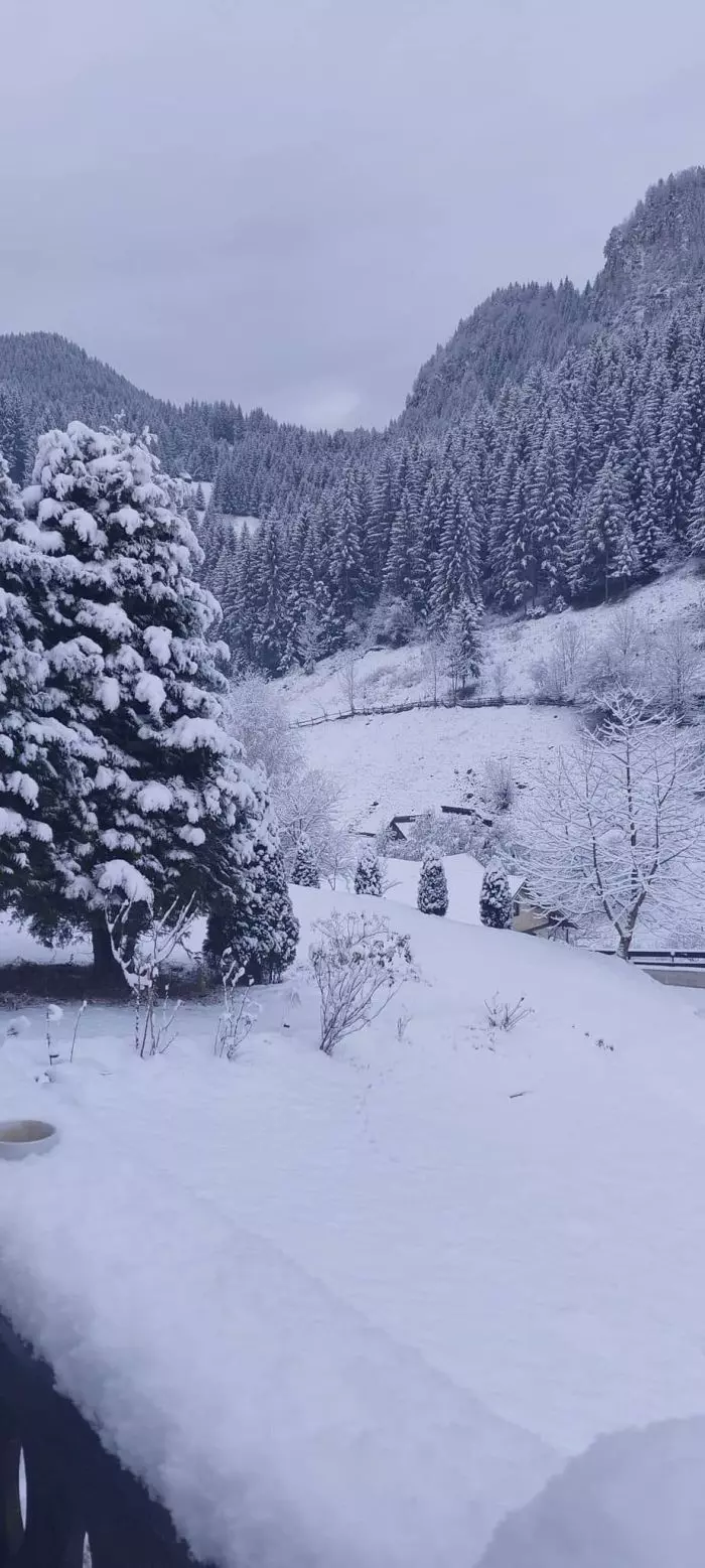 brasov-moeciu-facebook-meteoplus