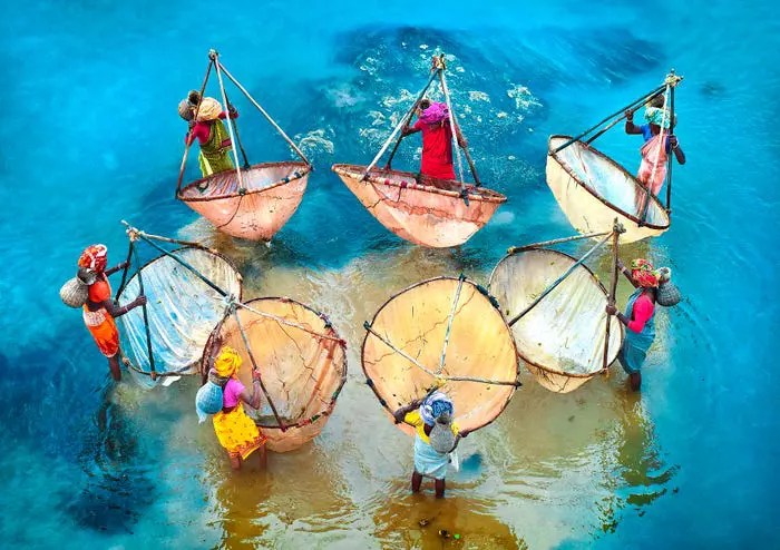 Colors of life by Pranab Basak