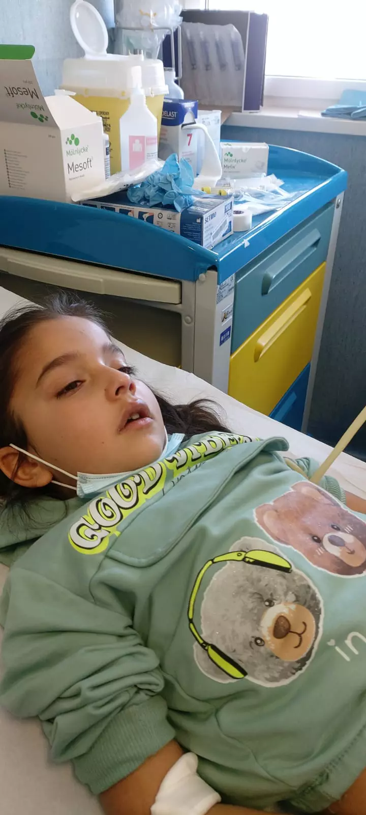 2--crenguta-ioana-dobrea-italia-fara-sms-