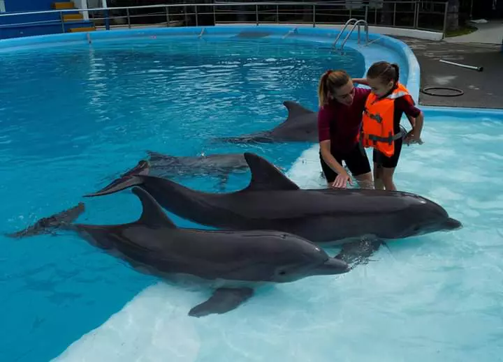 Terapie cu delfini în Mexic pentru o fetiță cu autism din Gorj