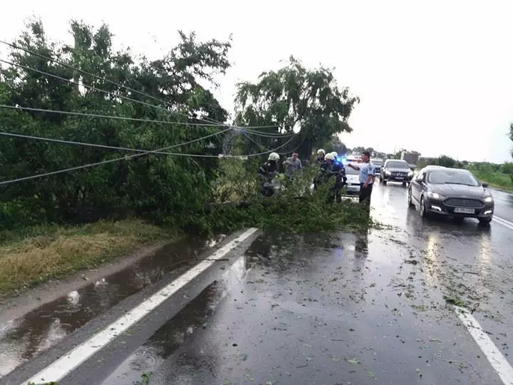 copaci si ploaie pe DN6 (3)