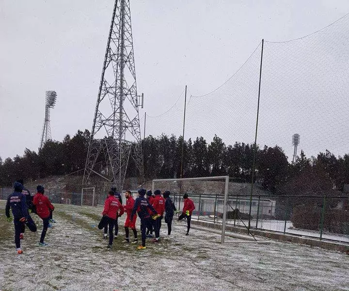 steaua1