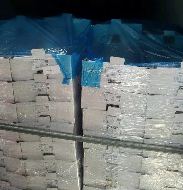 13059583_1119536624734616_572830675_n