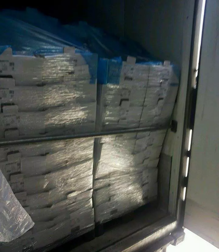 13081907_1119536538067958_1918787579_n