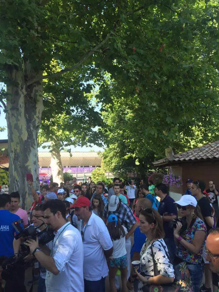 13669802_808271602642541_2028407396111935473_n