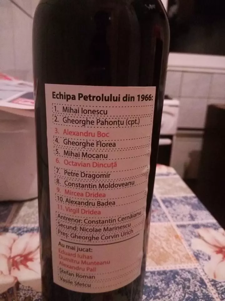 14695362_363492280650478_3394119017567782979_n