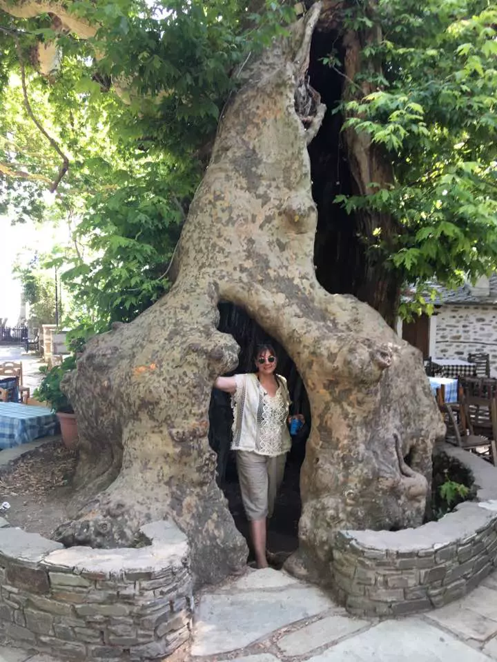 19990428_1597293796969191_193815378402179112_n