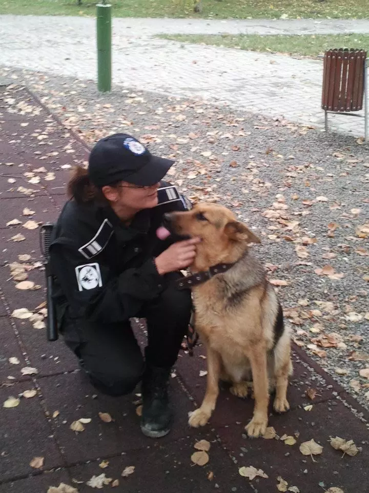 81CBE303-4305-4481-A414-B1783852B154