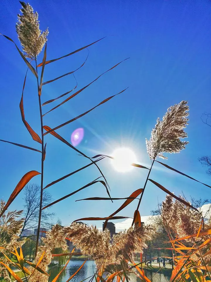 love is all we need expozitie 5