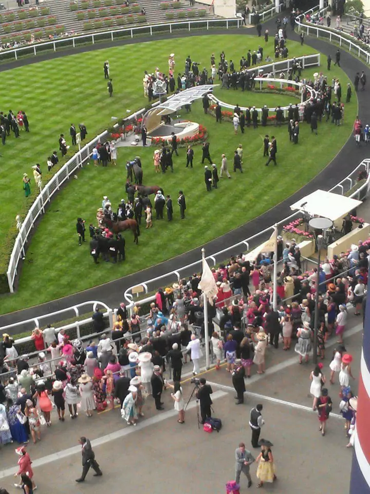 28512548_1793543360706922_1655657180_n