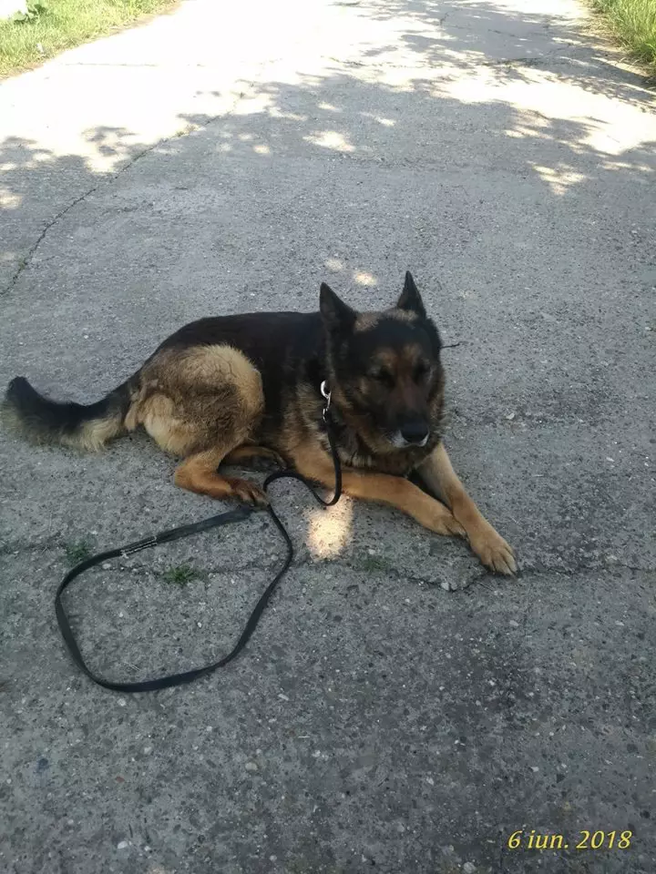 mabanu ijj constanta (1)