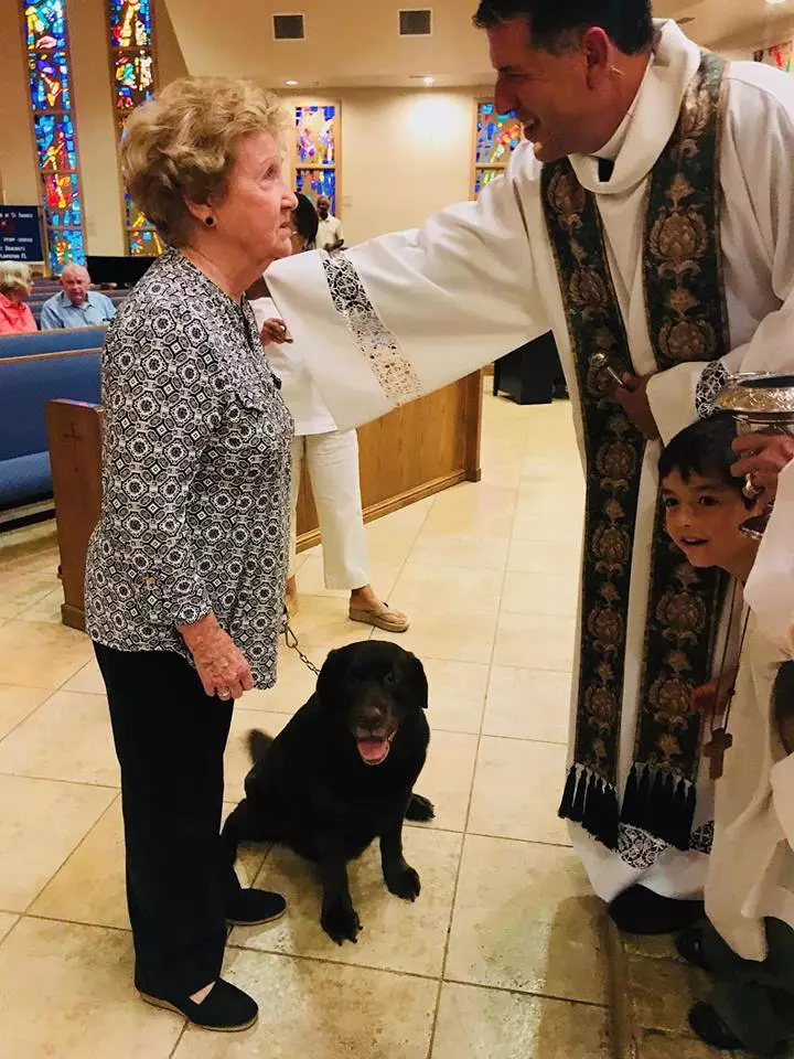 43275563_2272114942863568_2500456223732662272_n