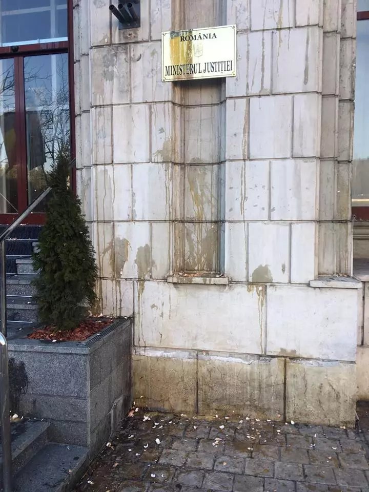 52588573_260526641529594_6326517540319133696_n