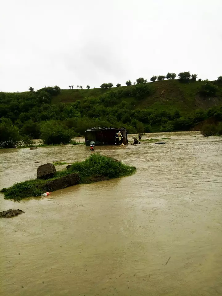 60798898_1471589209648325_246125845381382144_n