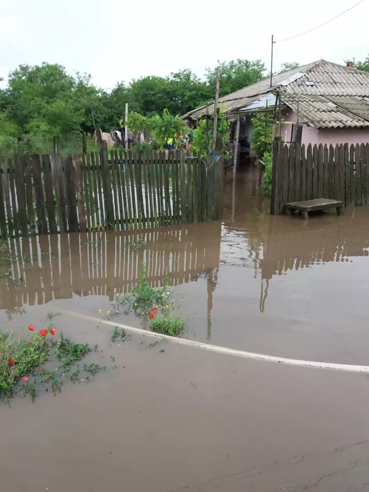 Inundații în Teleorman după ploile torențiale (4)