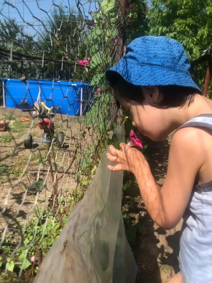 67623070_10156916130823411_5859978560332103680_n