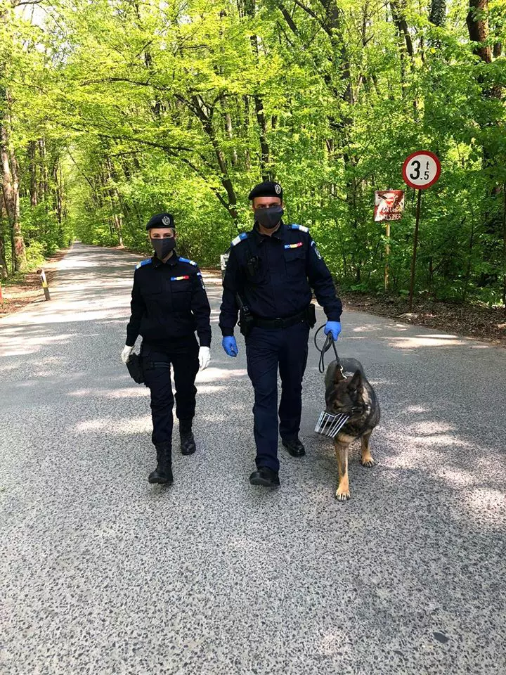 92951385_3095753840475640_829718330750271488_o