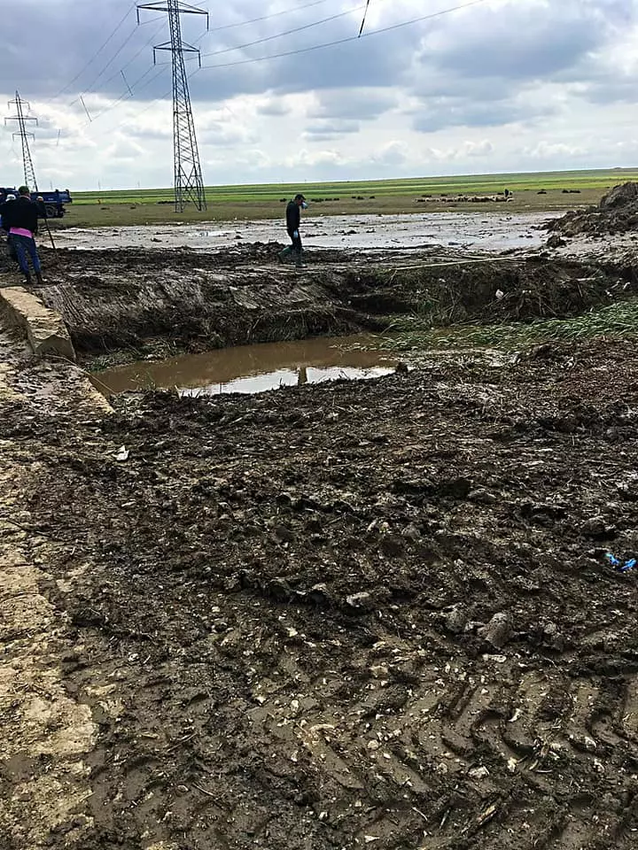 95748480_2725939044294618_5284015448709398528_n