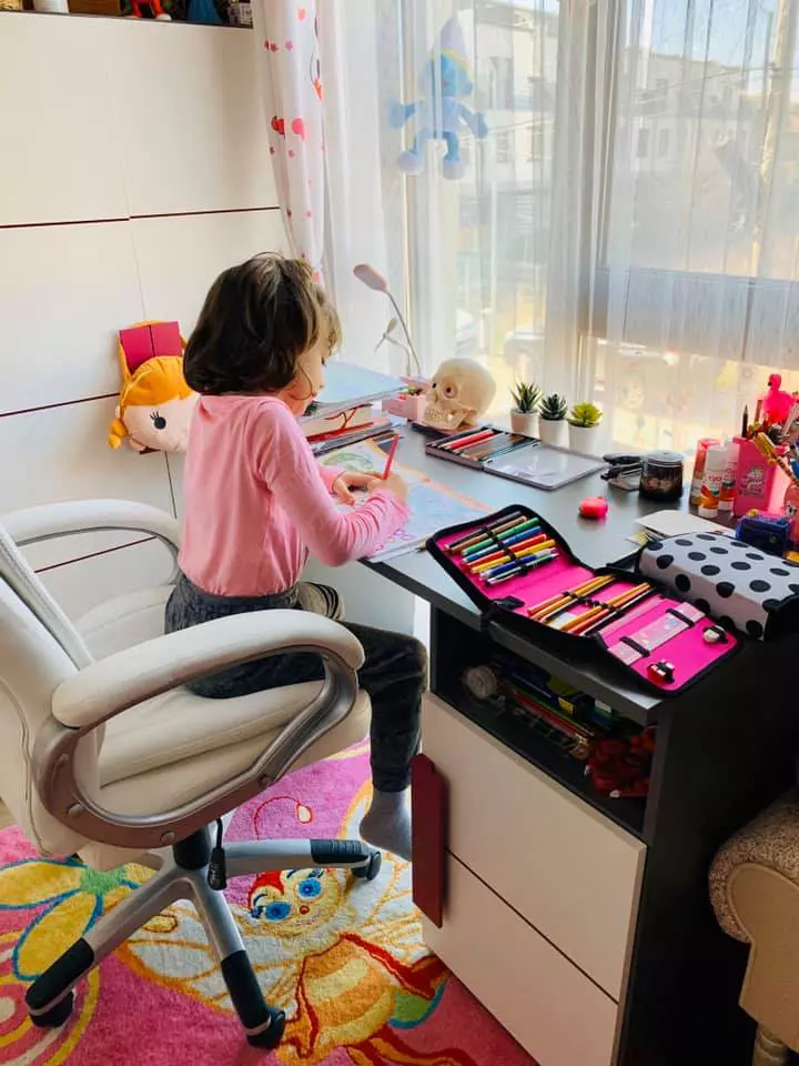 Imagini casă Livia Graur (11)