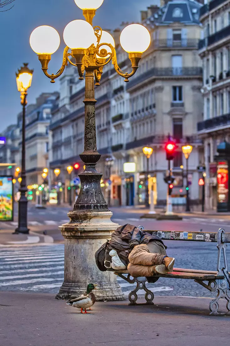 Două raţe caută de mâncare în jurul unei persoane fără adăpost Foto: Hepta