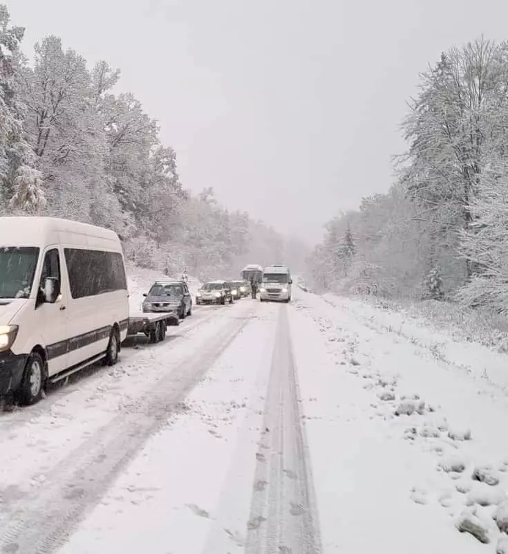 4020386626840258805303811155265631925648224n