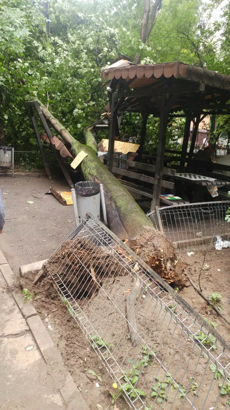 copac căzut pe un foișor în Drumul Taberei