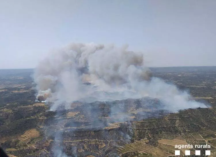 incendiu padure catalonia_agent rurals3