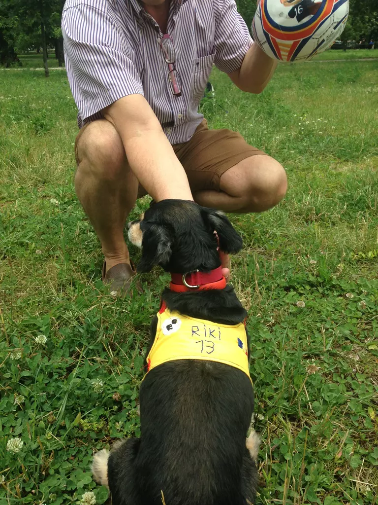 IMG_2679