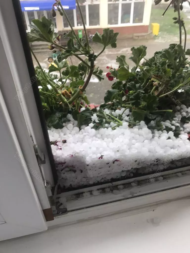 bistrita-furtuna-lechinta-26-iun-17-timponline.ro (1)