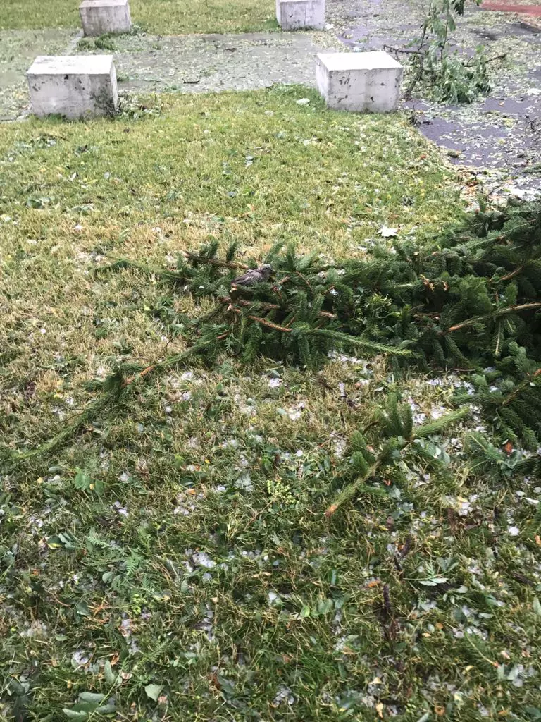 bistrita-furtuna-lechinta-26-iun-17-timponline.ro (14)