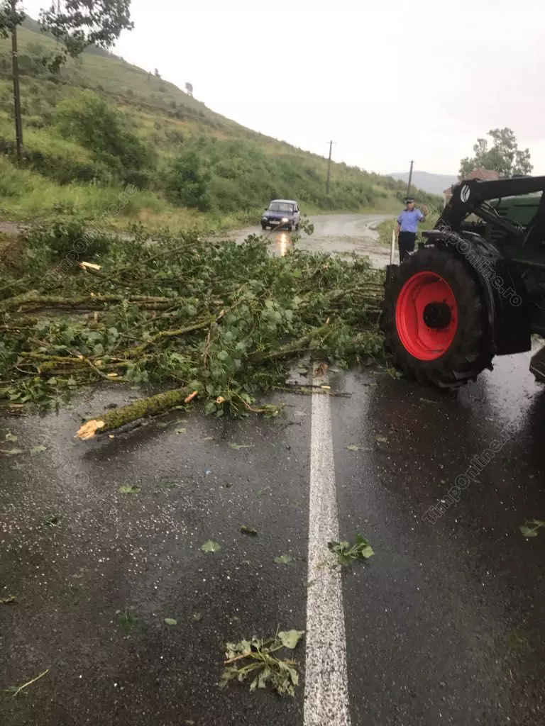 bistrita-furtuna-lechinta-26-iun-17-timponline.ro (2)