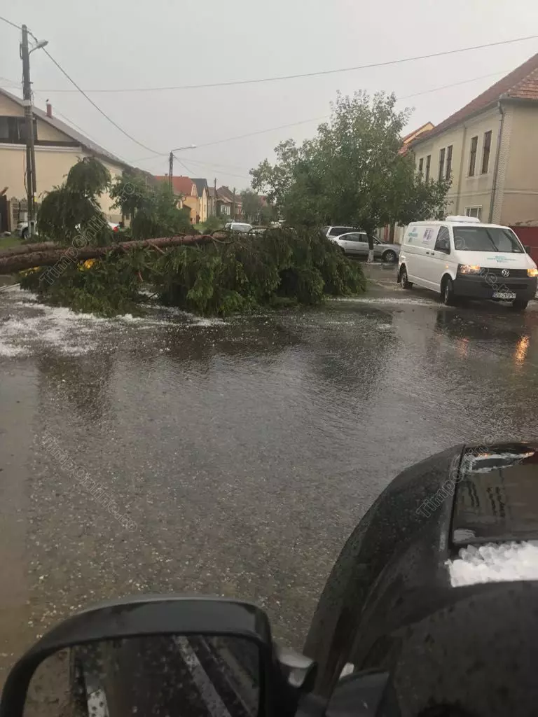 grindină și vijelii