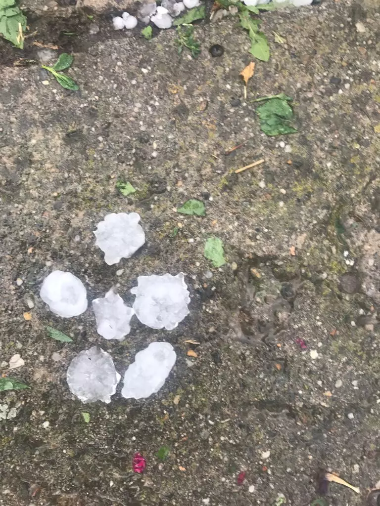 bistrita-furtuna-lechinta-26-iun-17-timponline.ro (4)