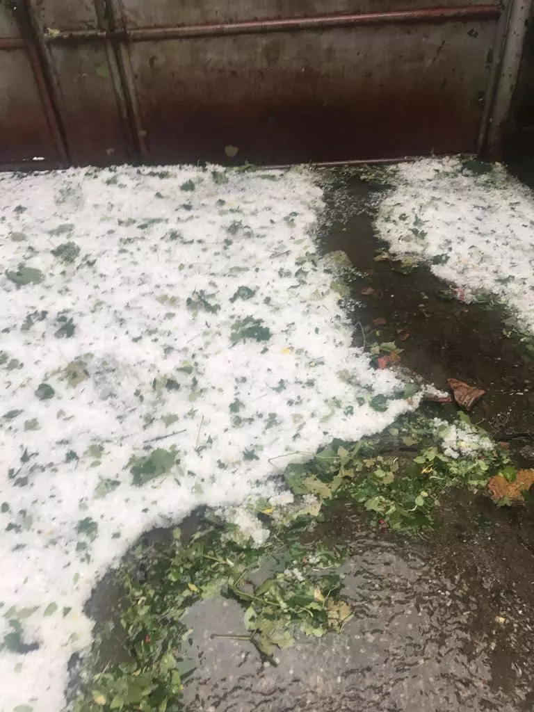 bistrita-furtuna-lechinta-26-iun-17-timponline.ro (5)