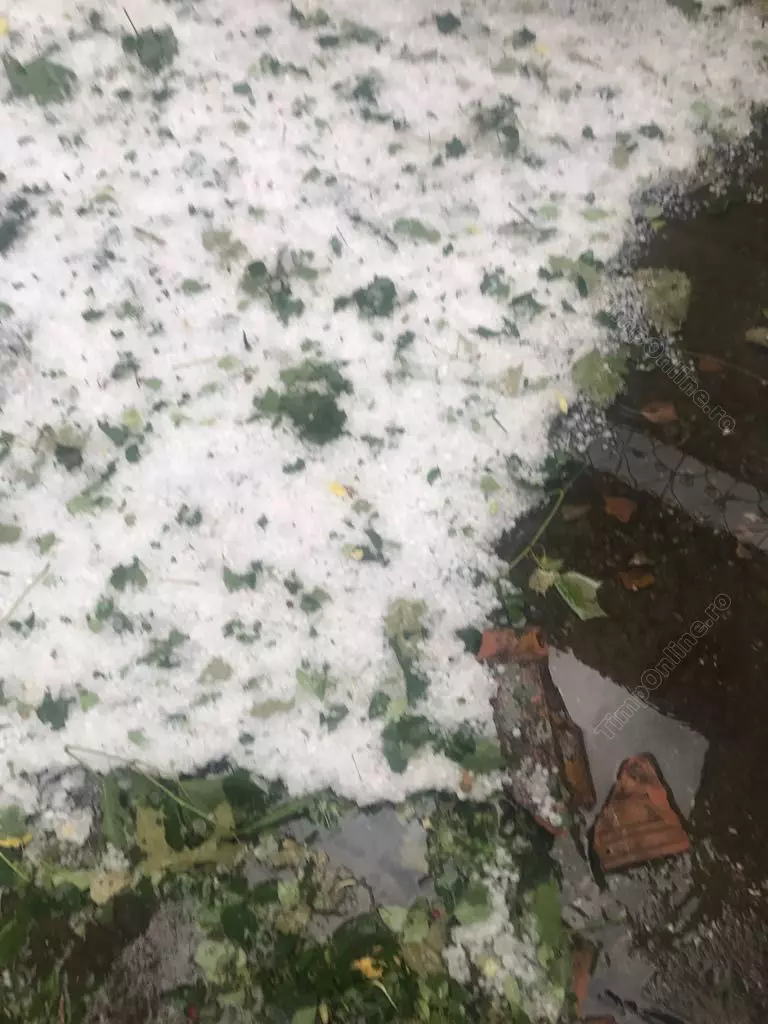 bistrita-furtuna-lechinta-26-iun-17-timponline.ro (6)