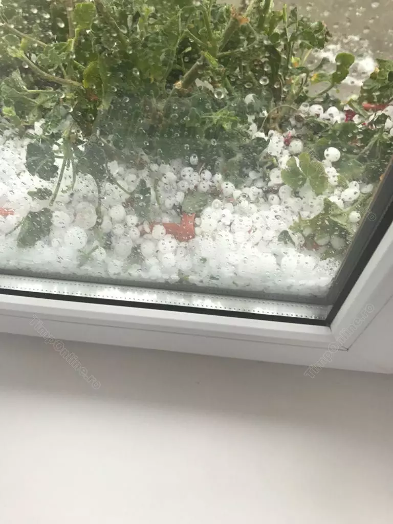 bistrita-furtuna-lechinta-26-iun-17-timponline.ro (7)