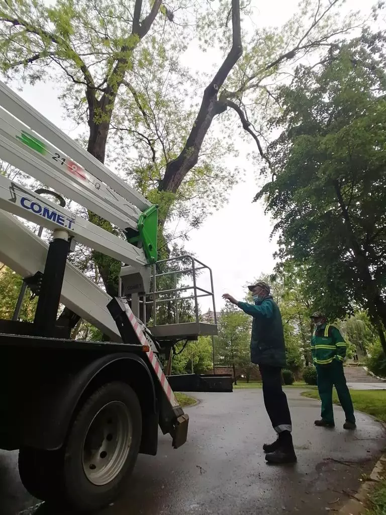 186477873_3905530356167145_1983791823577817259_n