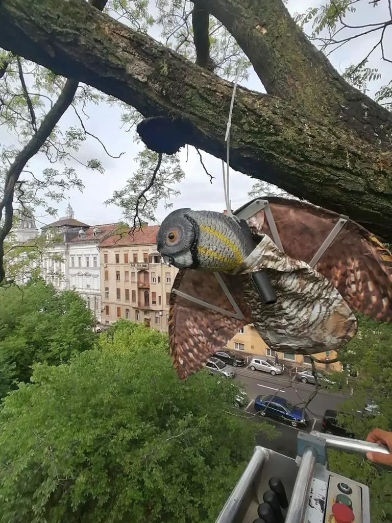 186846001_3905529686167212_2818739739428072151_n