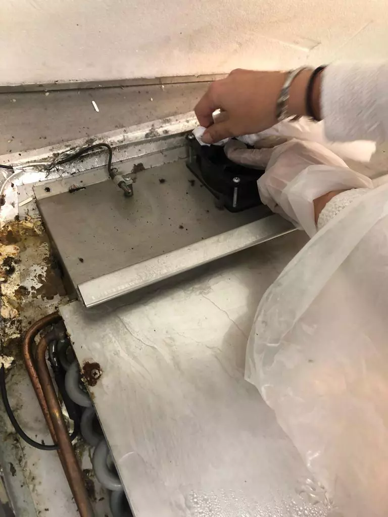 whatsapp-image-2021-11-02-at-17-32-23