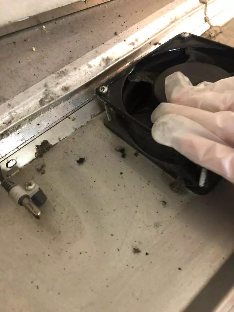 whatsapp-image-2021-11-02-at-17-32-29