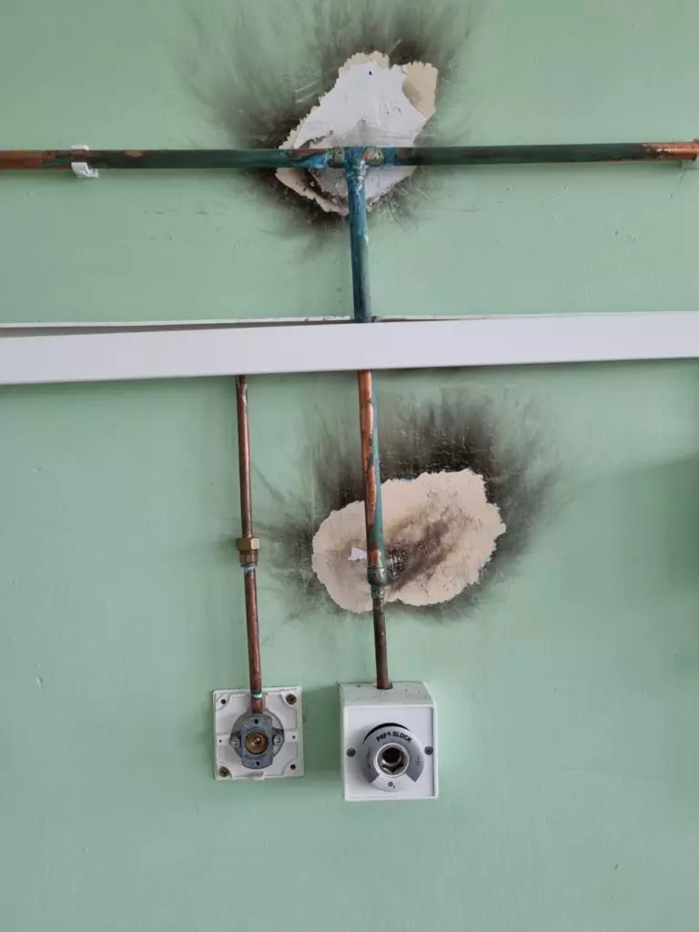 whatsapp-image-2022-01-26-at-11-46-42-5-768x1024-1