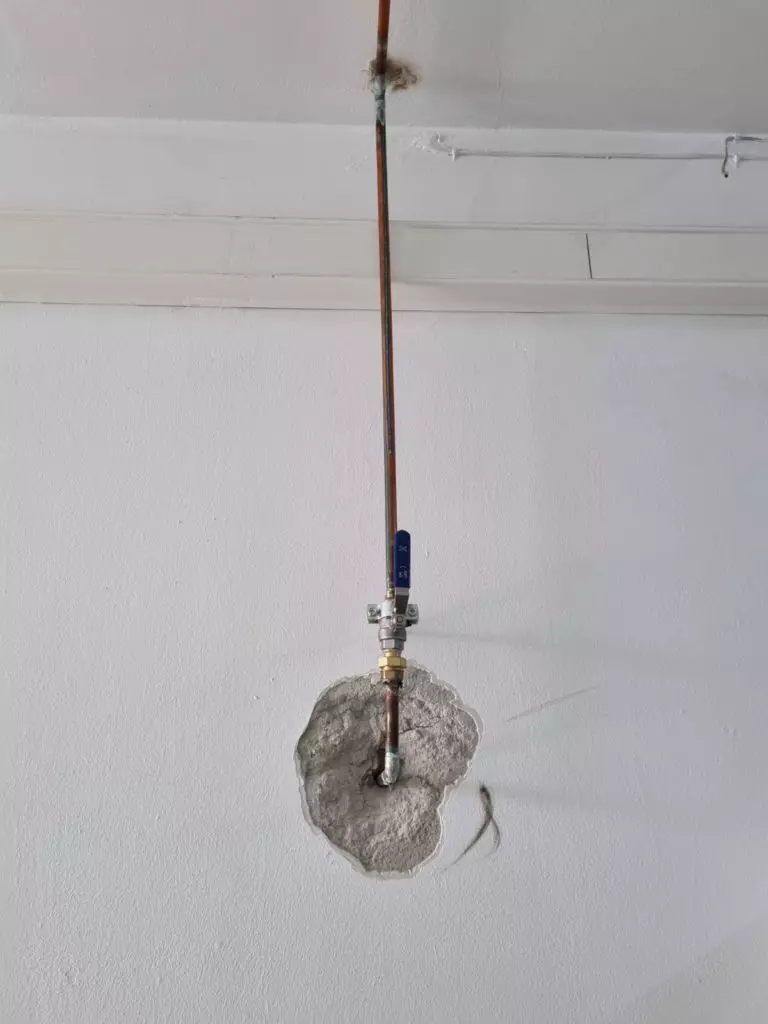 whatsapp-image-2022-01-26-at-11-46-43-3-768x1024-1