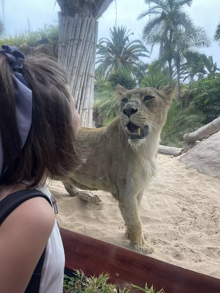 actori-serialul-adela-in-vacanta-4