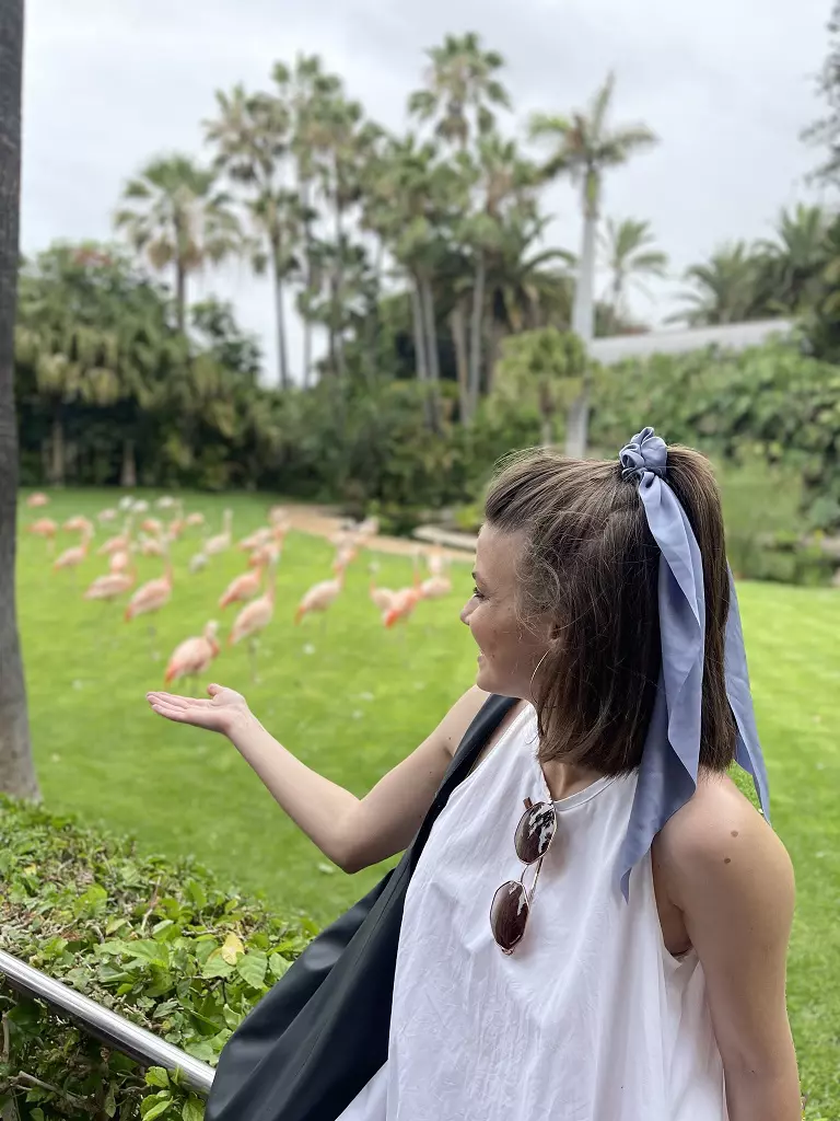 actori-serialul-adela-in-vacanta-7