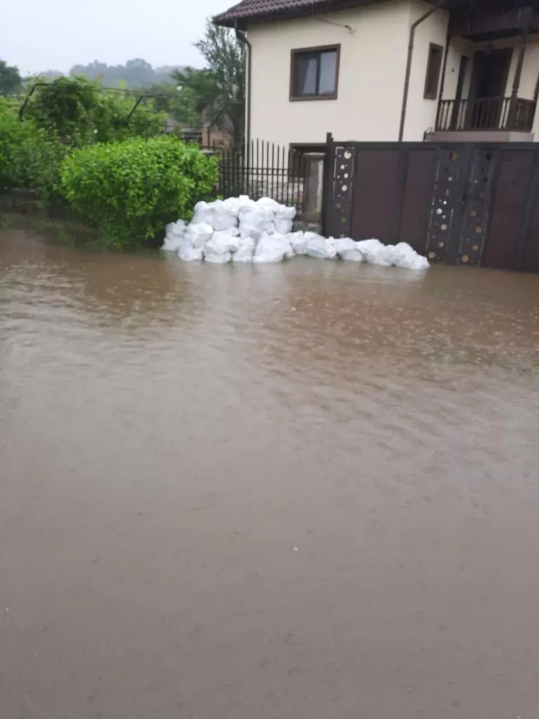 tismana17-768x1024-1