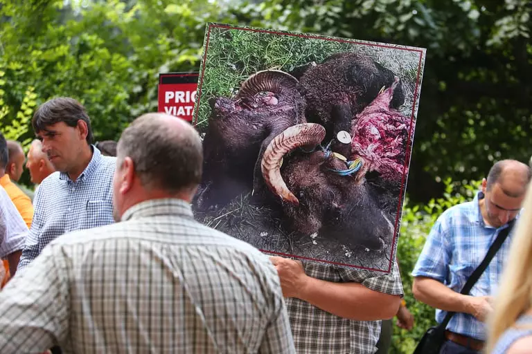 205846188_1562179723952571_7724334865943140488_n